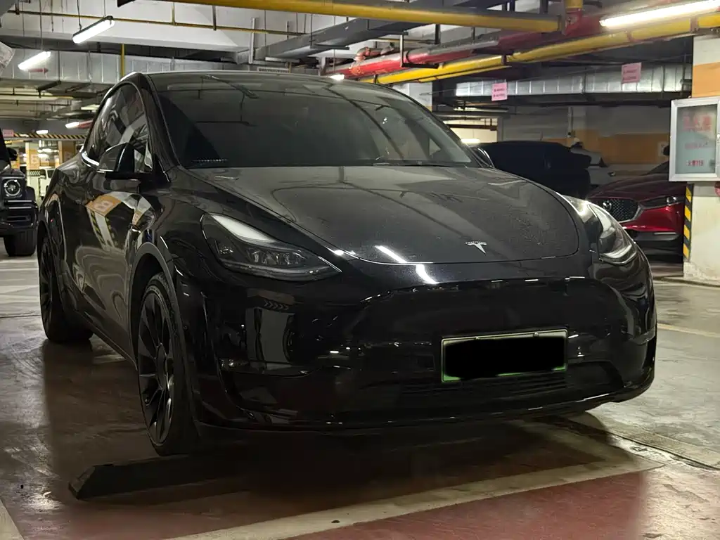 Tesla Model Y — миниатюра 3