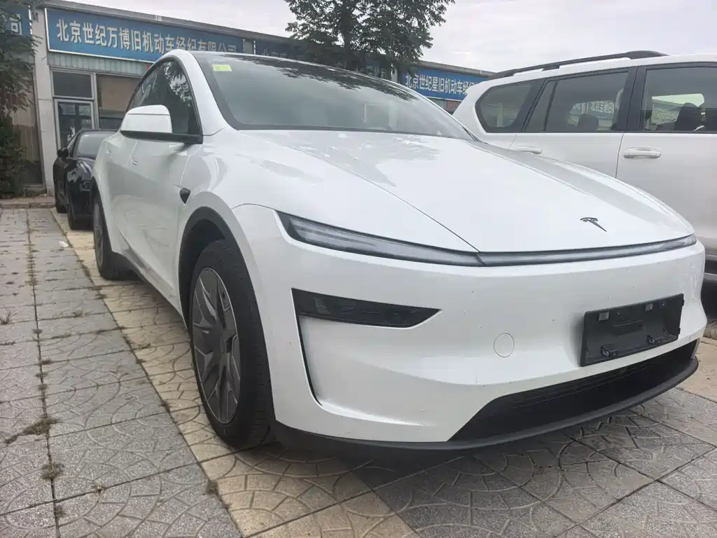 Tesla Model Y L