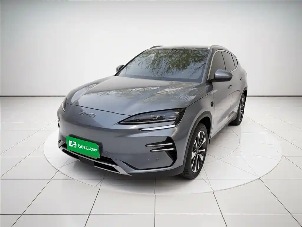 Byd PLUS New Energy 2025