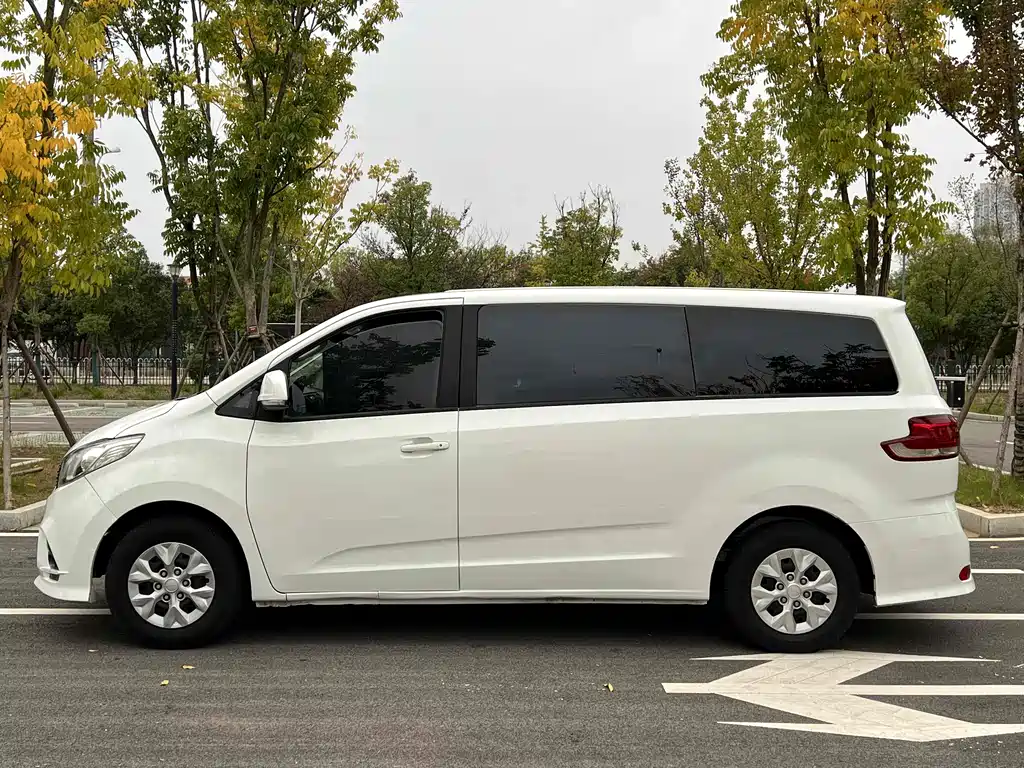 SAIC MAXUS CHASE G10