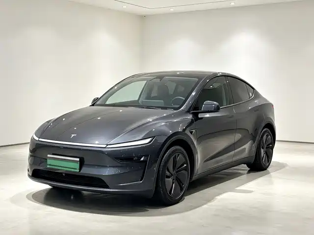 2025 Tesla Model Y