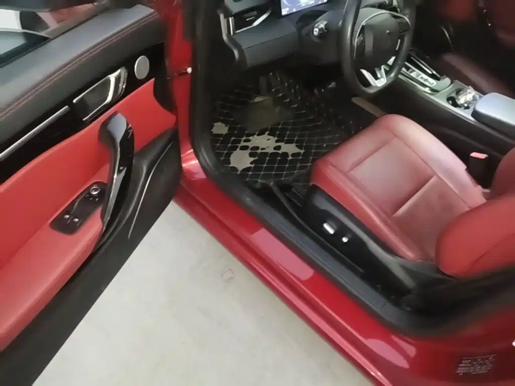 Leapmotor Leapmotor S01 — миниатюра 16