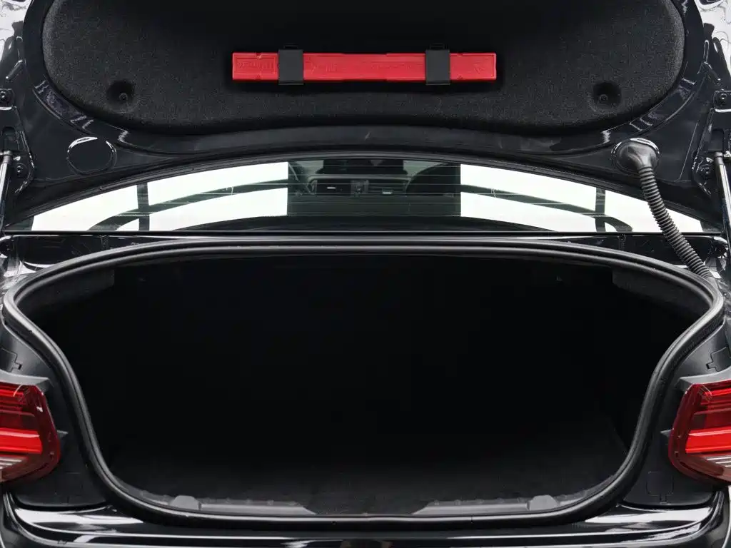 BMW M2 — миниатюра 9