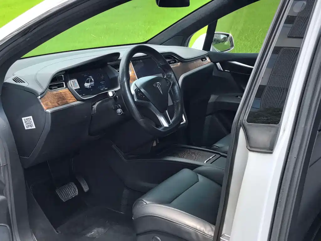 Tesla Model X 2017 Model X 100D