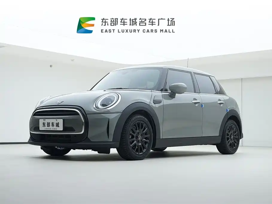 Mini Mini 2021