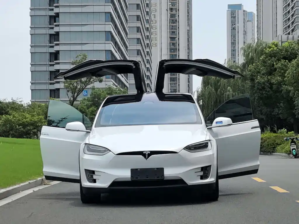 Tesla Model X 2017 Model X 100D