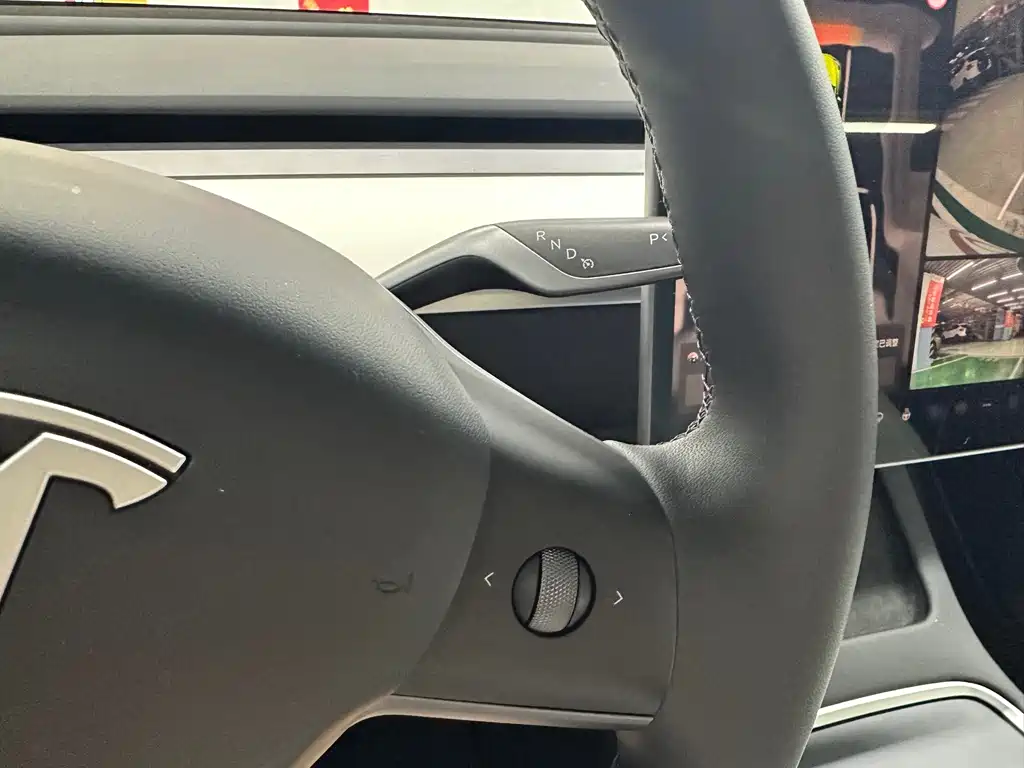 Tesla Model Y — миниатюра 19