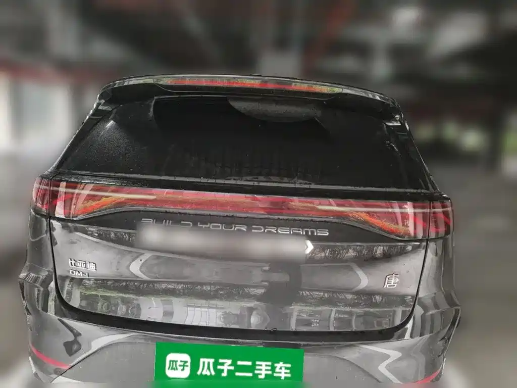 BYD Tang New Energy — миниатюра 4