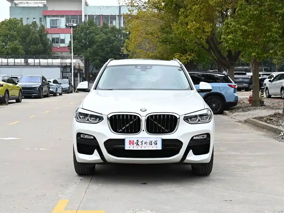 BMW X3 2018 xDrive30i Lead M Sport V