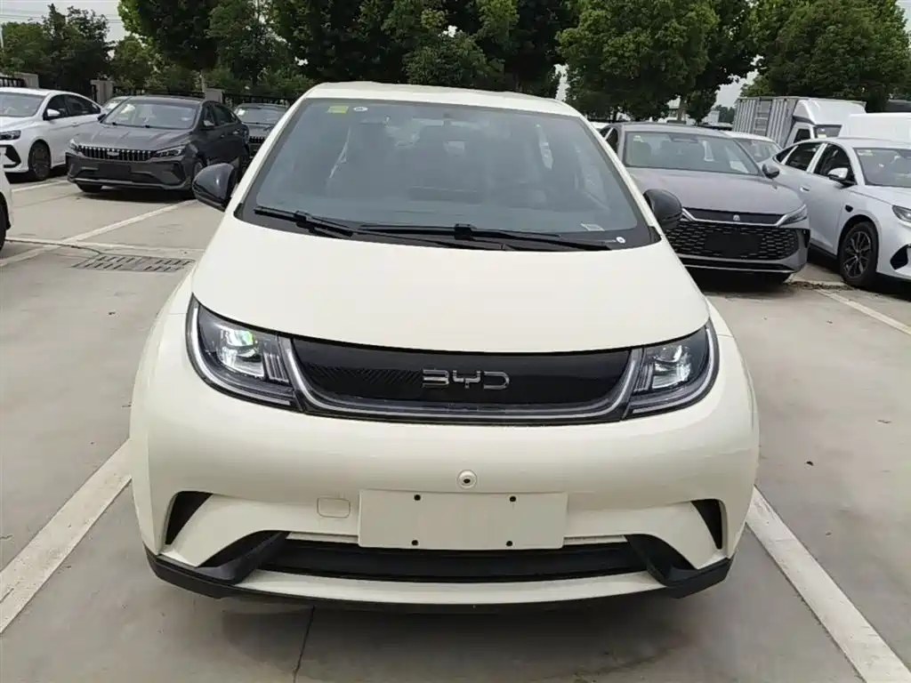 BYD Dolphin 2025 420km Freedom