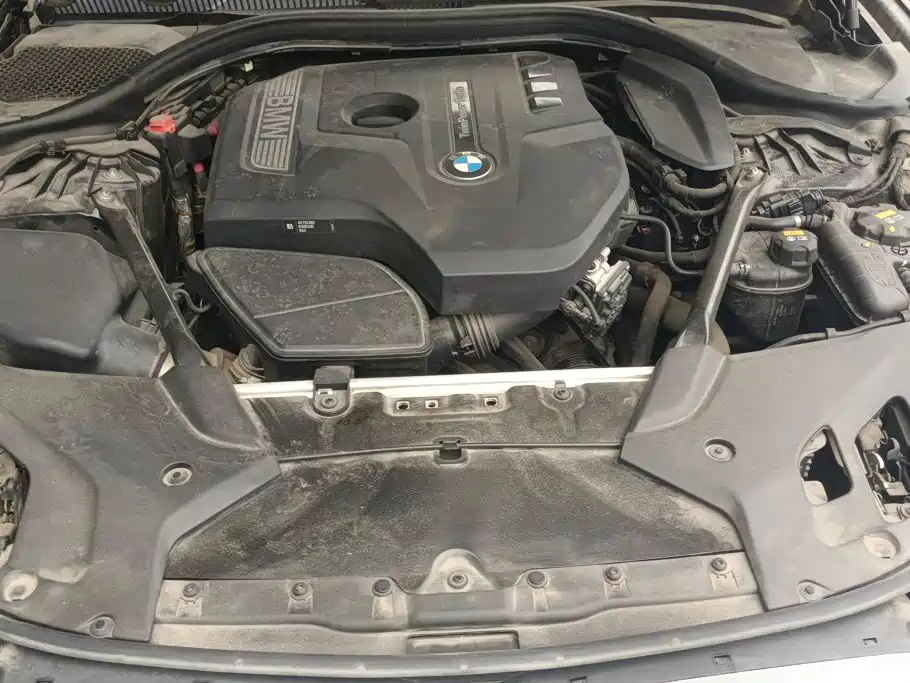 BMW 5 Series 5 2018 530Li xDrive M Sport