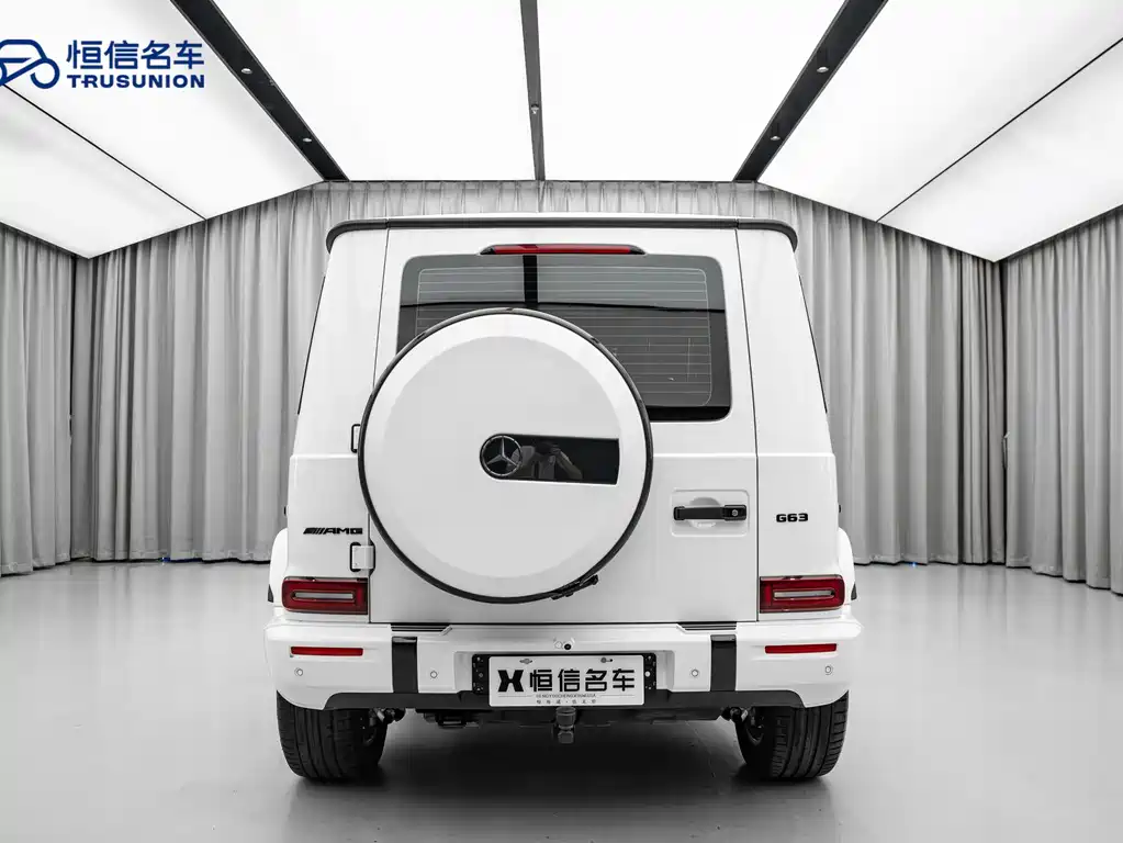 Mercedes-Benz G-Class G 2025 G 450 d