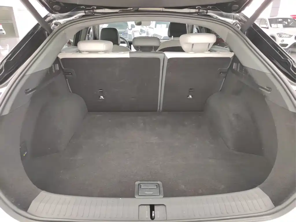 ARCFOX EXTREME FOX POLAR FOX ALPHA S