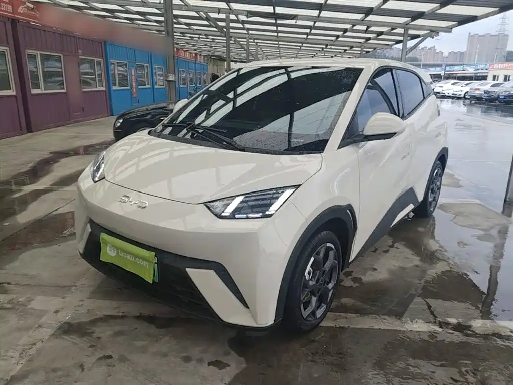 BYD Seagull 2025 305km Free Edition