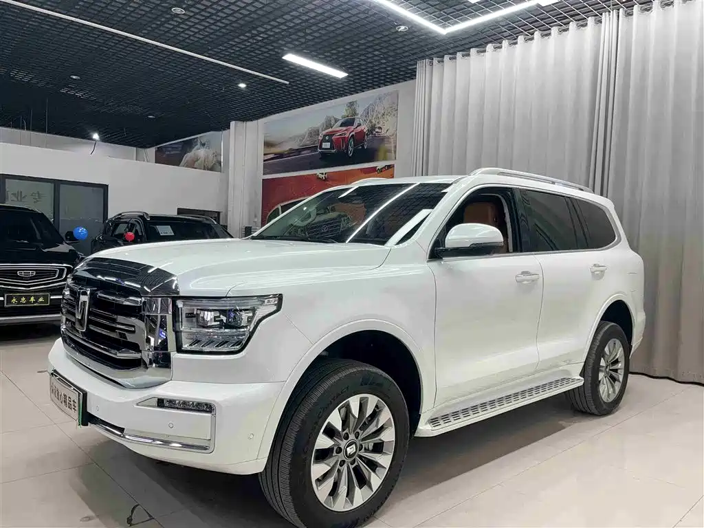 Tank Tank 500 New Energy 2025