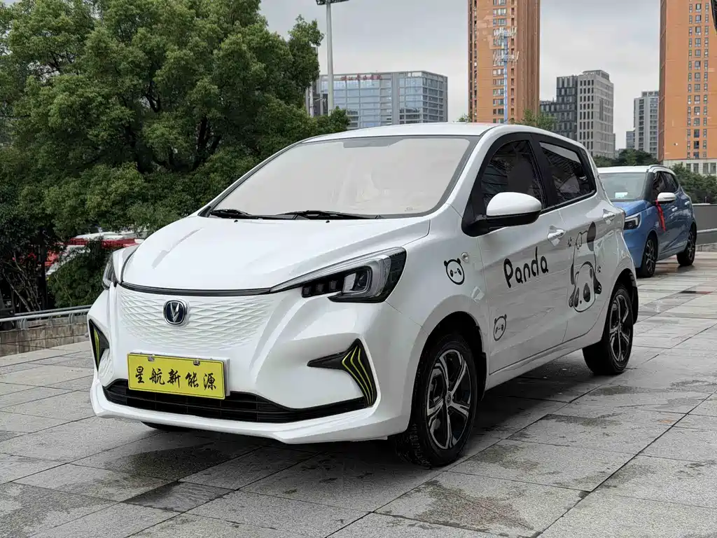 2022 Changan Benni EC/EV - zdjęcie 1 z 21