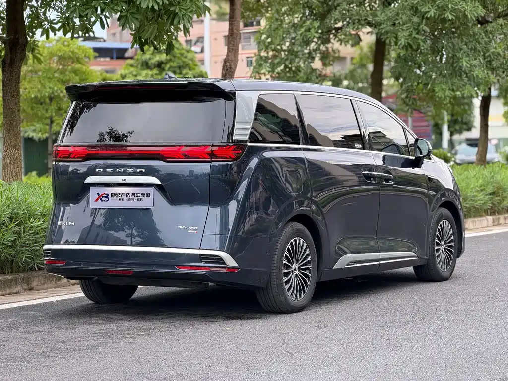 Denza Denza D9 — миниатюра 15
