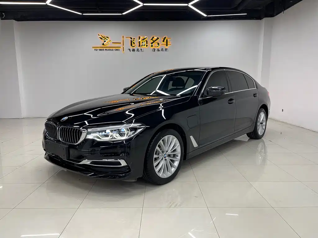 BMW 5 Series New Energy 2019