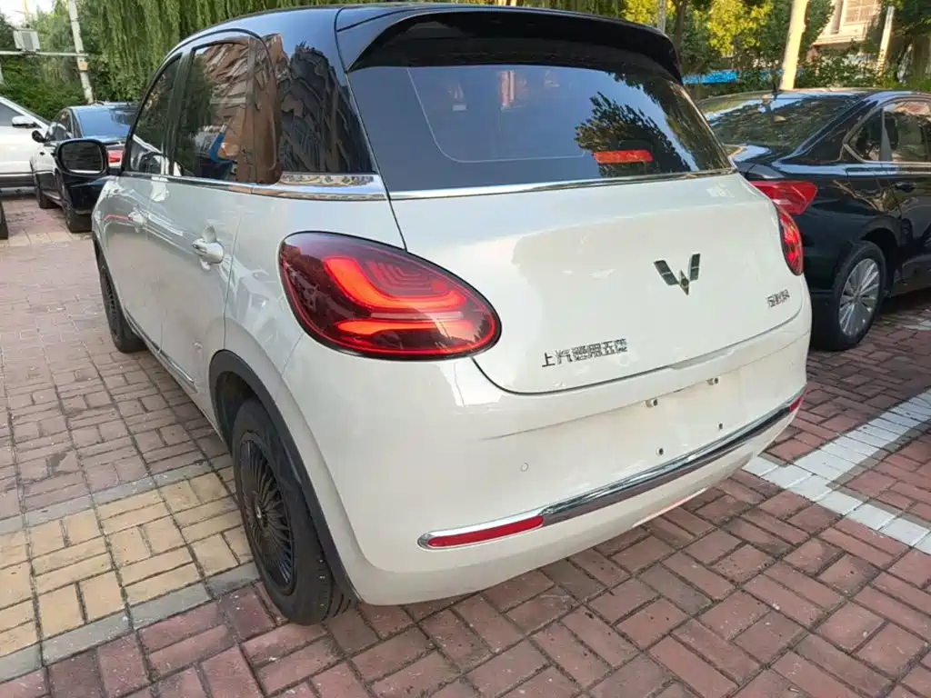 Wuling Binguo 2023 333km
