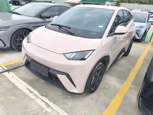 BYD SEAGULL 2024