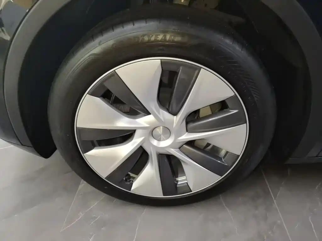 Tesla Model Y — миниатюра 23