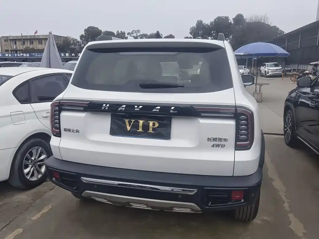 HAVAL BIG DOG