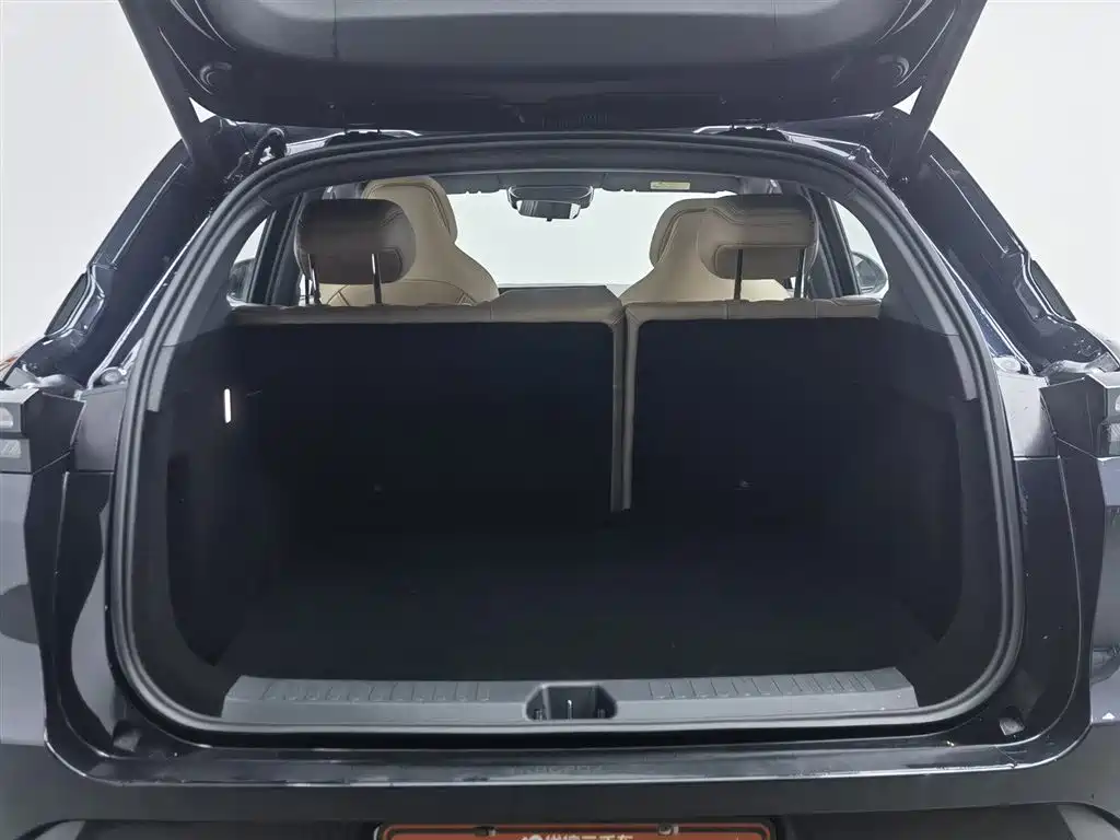 ARCFOX EXTREME FOX POLAR FOX ALPHA T5