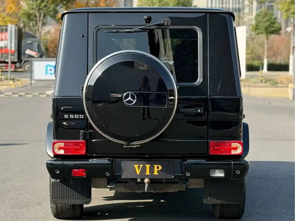 Mercedes-Benz G-Class G 2010 G 500