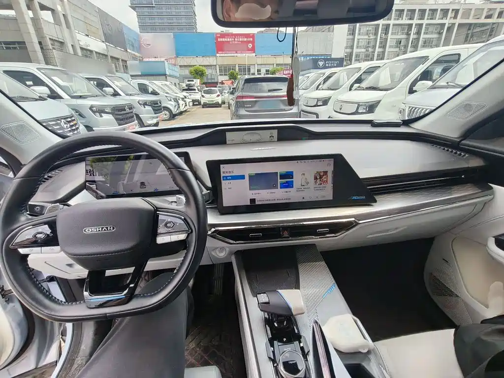 Oshan Oushang Z6 New Energy — миниатюра 13