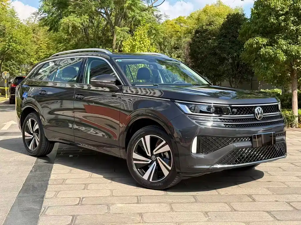 Volkswagen Tavendor — миниатюра 3