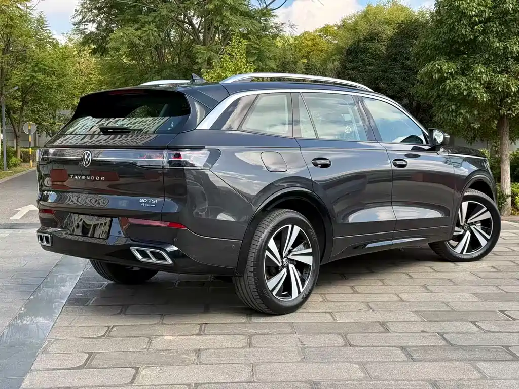 Volkswagen Tavendor — миниатюра 8