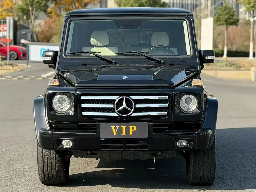 Mercedes-Benz G-Class G 2010 G 500
