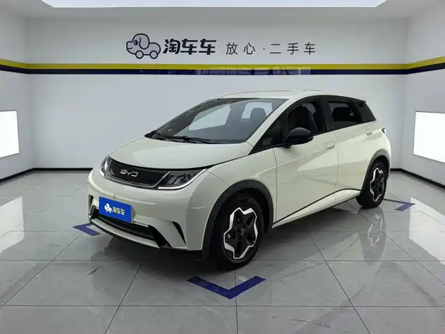 BYD Dolphin