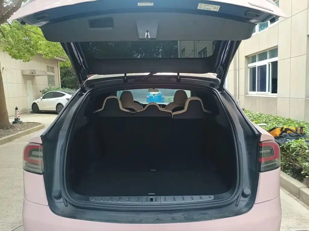 Tesla Model X — миниатюра 19