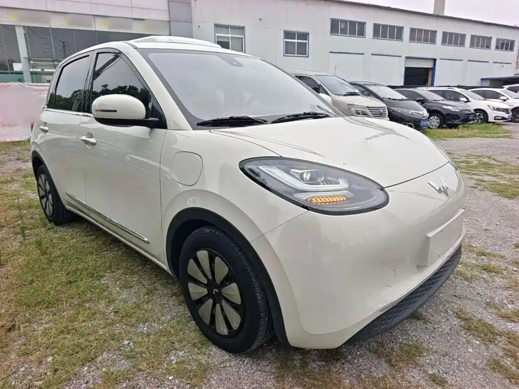 Wuling Binguo 2023 333km Enjoy +