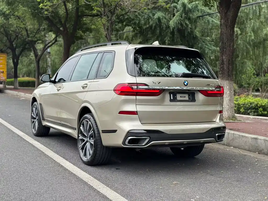 BMW X7 — миниатюра 4