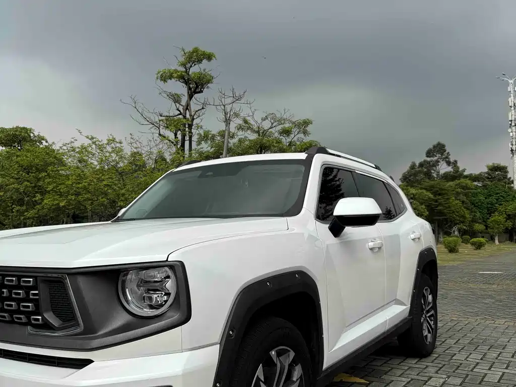 Haval Big Dog PLUS — миниатюра 22