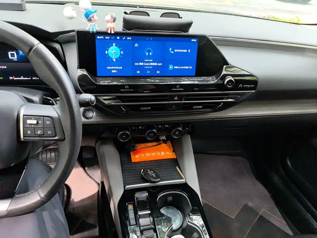 Citroen C5 X — миниатюра 9