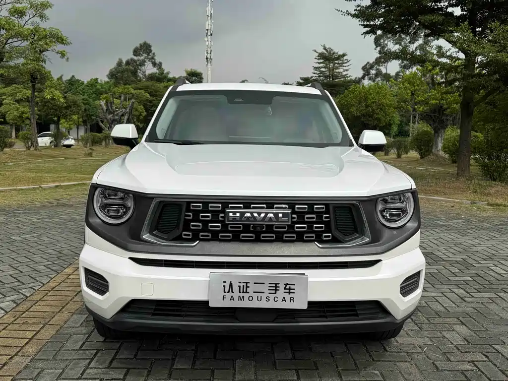 Haval Big Dog PLUS — миниатюра 2