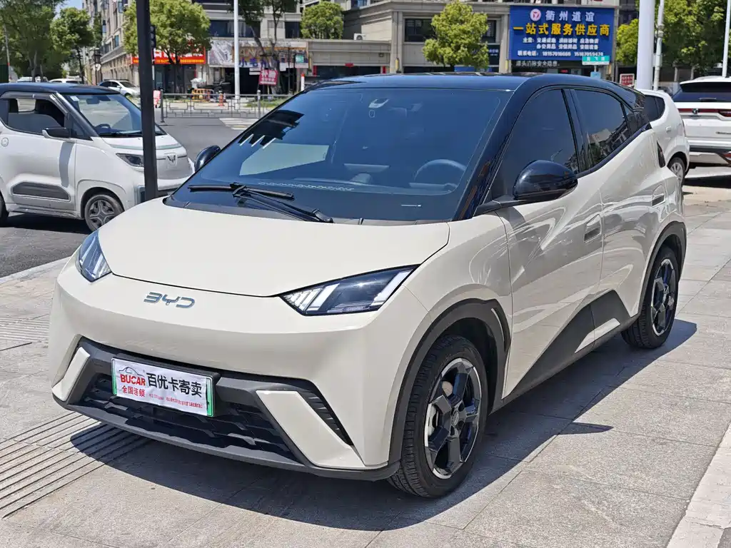Byd Seagull 2024