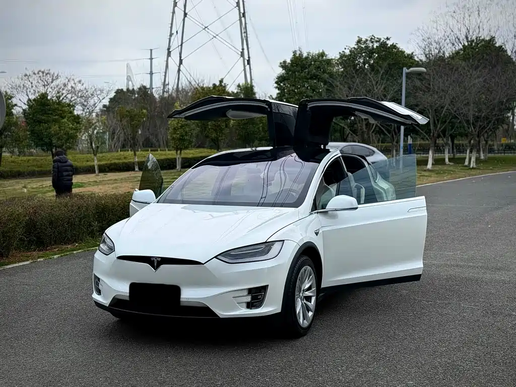 Tesla Model X 2019