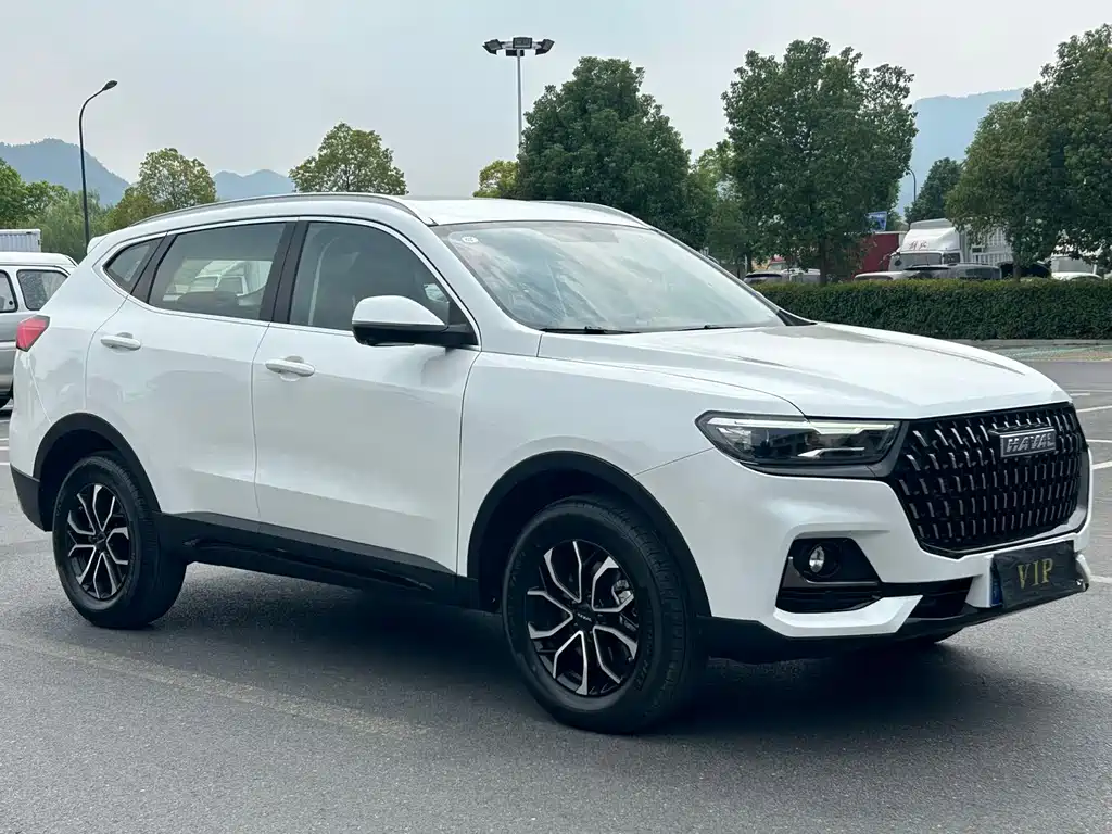 Haval H6 — миниатюра 2