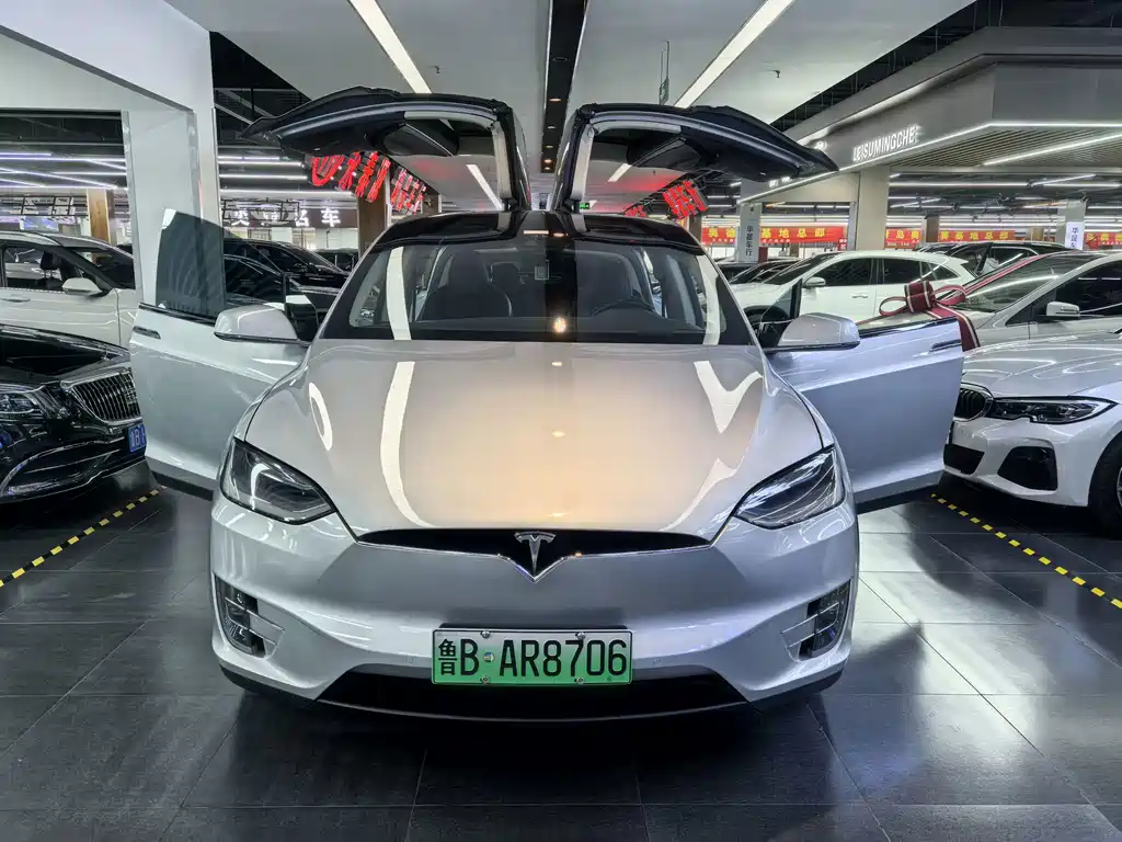 Tesla Model X — миниатюра 13