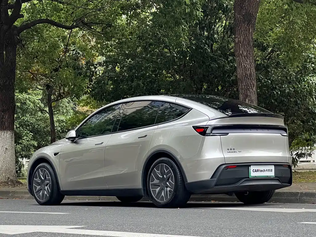 Tesla Model Y L — миниатюра 6