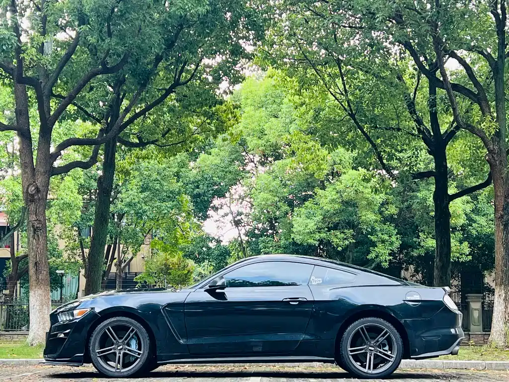 Ford Mustang — миниатюра 3