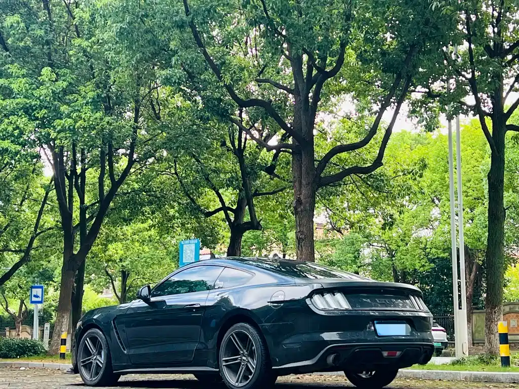 Ford Mustang — миниатюра 4
