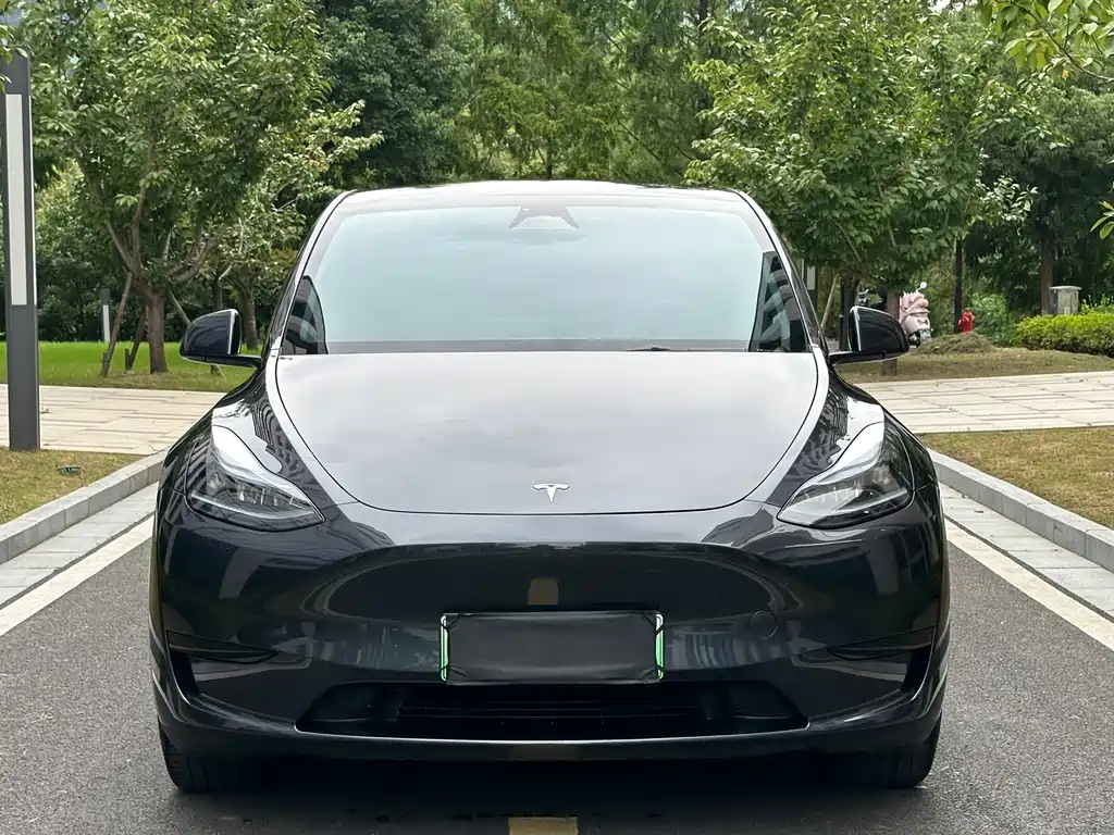 Tesla Model Y — миниатюра 2