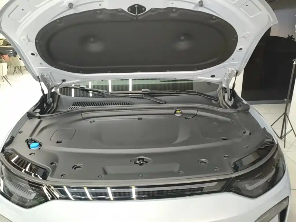 Leapmotor Leapmotor C11 — миниатюра 20