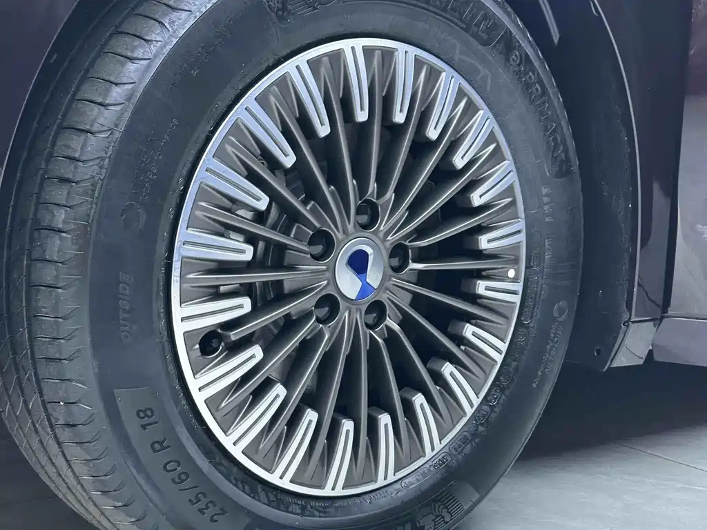 Denza D9 2023 PREMIER