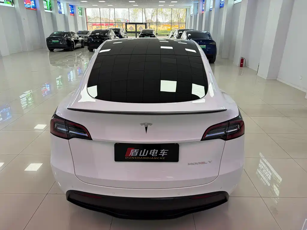 Tesla Model Y — миниатюра 5